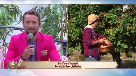 Livada de mere. Cu cât vând producătorii kilogramul de mere