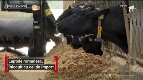 Laptele românesc, înlocuit cu cel de import