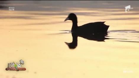 Recomandări pentru weekendul 19 - 20 septembrie 2020. Ce locuri și evenimente nu trebuie să ratezi