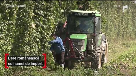 Bere românească cu hamei de import