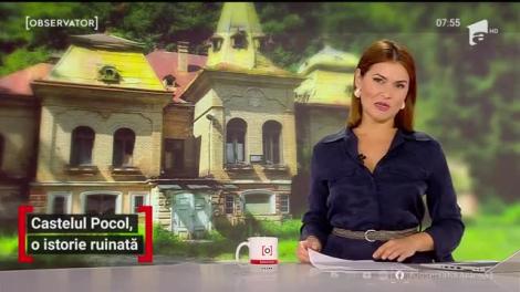 Castelul Pocol, o istorie ruinată