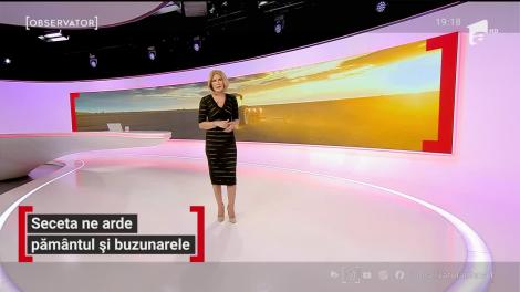 Seceta verii se prelungeşte şi în toamnă. Preţul cărnii ar putea creşte