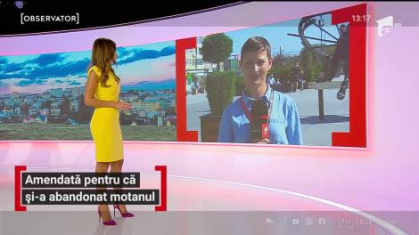 Femeie din Suceava, amendată pentru că și-a abanonat motanul