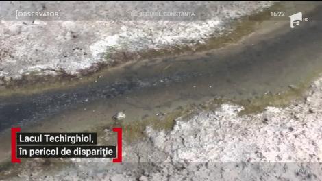 Lacul Techirghiol, în pericol de dispariție. Apa a scăzut cu un metru din cauza schimbărilor climatice