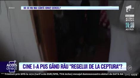 Arthur de la Ceptura, cușcă pentru căței cu panou solar: Poate reușesc să-i dresez să apese pe întrerupător!