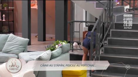 Momente amuzante în casa Mireasa! Fetele se bat cu spumă de păr