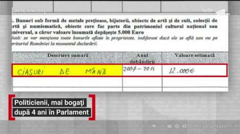Politicienii, mai bogați după patru ani în Parlament