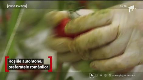 Roşiile autohtone, preferatele românilor