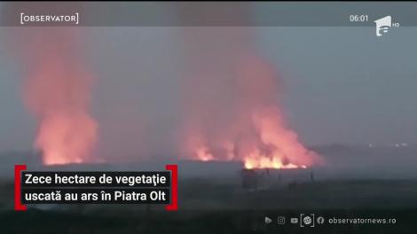 Un incendiu puternic de vegetaţia uscată, în judeţul Olt