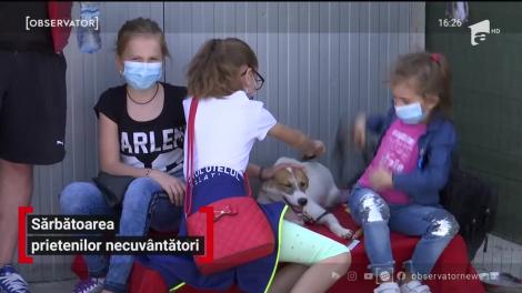 Sărbătoarea prietenilor necuvântători