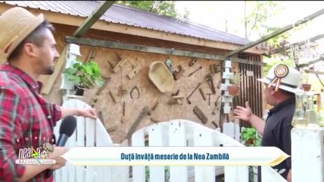 Cum să-ți faci piscină din paleți. În vizită la un gospodar priceput