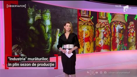 Afacere cu murături de Milișăuți cu fonduri europene