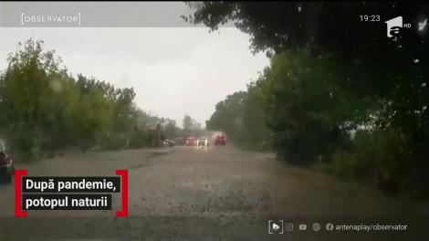 După pandemie, potopul naturii