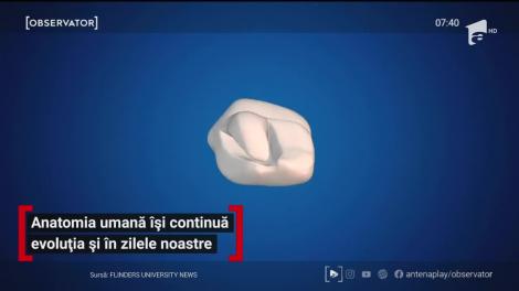 Anatomia umană își continuă evoluția mai repede ca oricând