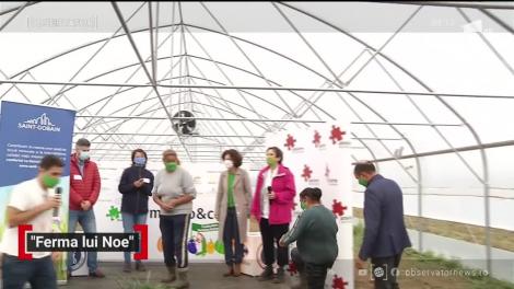 ONG-ul care angajează şi ajută persoane vulnerabile să se integreze pe piaţa muncii