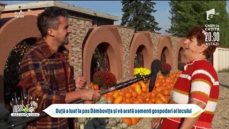 Recolta de toamnă, bogată în Dâmbovița! Oamenii gospodari ai locului muncesc de dimineață până seara