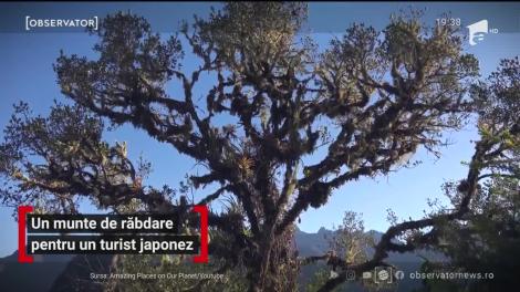 La ruinele de la Machu Picchu, după șapte luni de așteptare