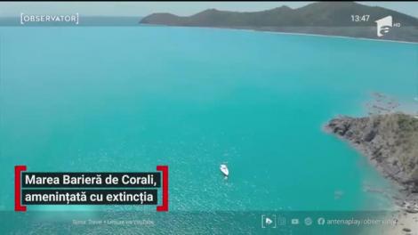 Marea Barieră de Corali, amenințată cu extincția