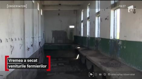 Vremea a secat veniturile fermierilor