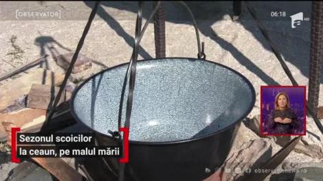 Sezonul scoicilor la ceaun, pe malul mării