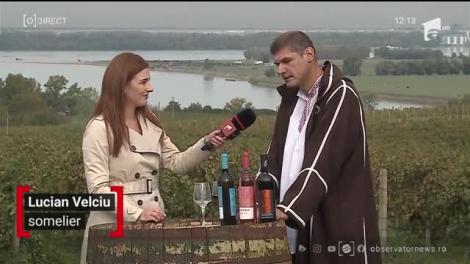 Și cramele se pregătesc pentru Sărbători