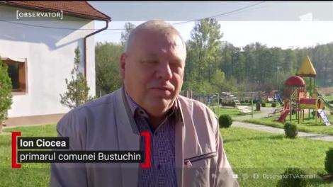 Șofranul, condimentul mai scump ca aurul