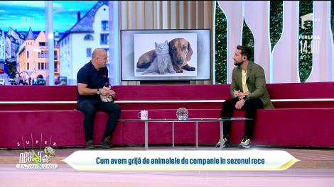 Cum avem grijă de animalele de companie în sezonul rece