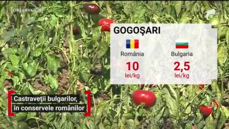 Ne costă mai mult să umplem cămara pentru iarnă. Seceta a scumpit murăturile