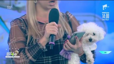 Ea a scufundat Titanicul! Cristina Teodorescu - My Heart Will Go On