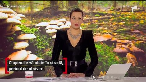 Ciupercile vândute în stradă, pericol de otrăvire