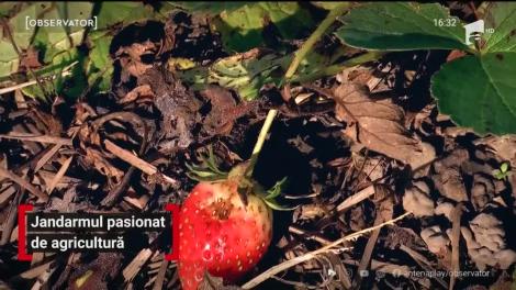 Jandarmul pasionat de agricultură