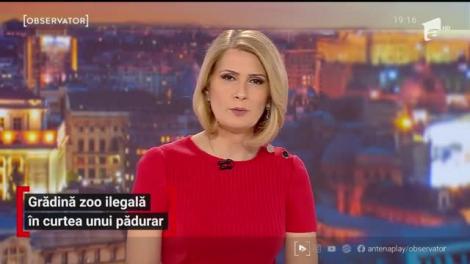 Grădină zoo ilegală în curtea unui pădurar