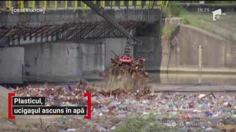 Plasticul, ucigașul ascuns în apă