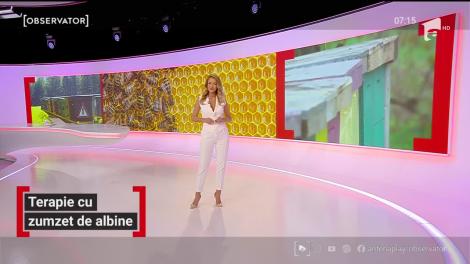 Terapia cu zumzet de albine