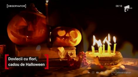 Dovlecii cu flori, cadou de Halloween