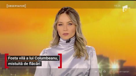 Fosta vilă a lui  Irinel Columbeanu, mistuită de flăcări