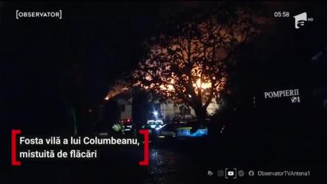 Fosta vilă a lui Irinel Columbeanu, mistuită de flăcări