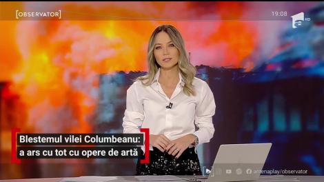 Blestemul vilei lui Irinel Columbeanu