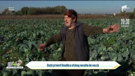 Aflăm la Neatza cum a fost recolta de varză anul acesta