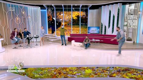 Educație canină cu specialistul în dresaj Cătălin Cornea. Informații despre lesa wireless