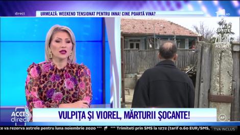 Vulpiţa este însărcinată din nou. Când va naște
