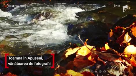 Toamna în Apuseni, vânătoarea de fotografii