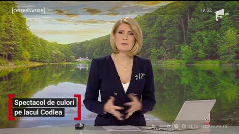 Spectacol de culori pe lacul Codlea