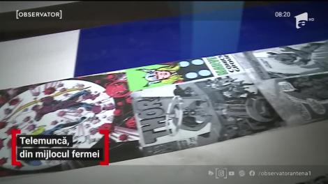 Telemuncă, din mijlocul fermei