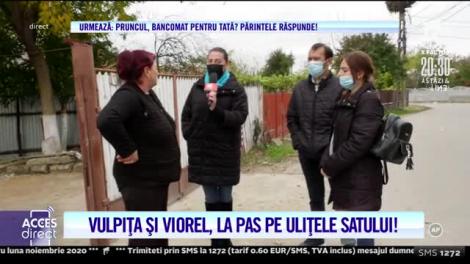 Vulpița şi Viorel, prima noapte în casă nouă. Cine a dat startul curăţeniei generale