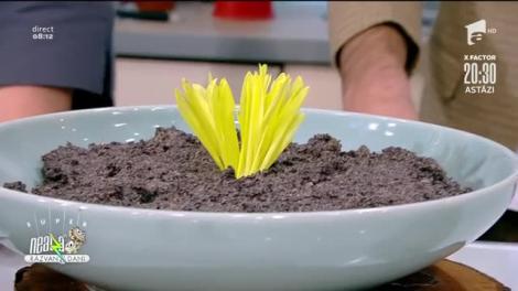 Pandișpan bănățean, rețeta lui Vlăduț de la Neatza cu Răzvan şi Dani