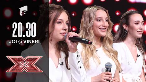 X Factor 2020: Trio Eva - Chandelier