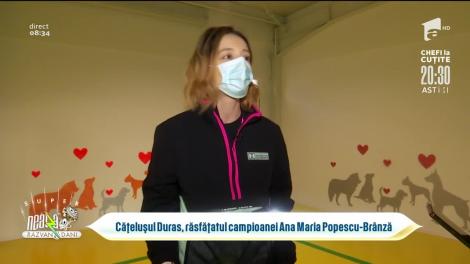 Cățelușul Duras, răsfățatul campioanei Ana Maria Brânză, în vizită la grădinița de câini