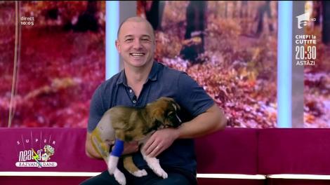 Totul despre vaccinarea animalelor de companie