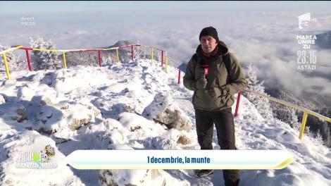 Cum petrec românii Ziua Națională pe Valea Prahovei